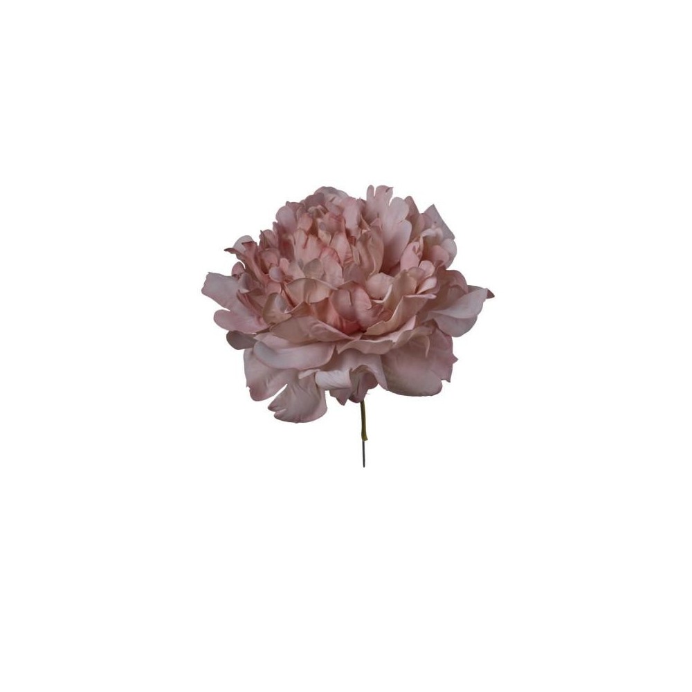 PICK PEONIA ROSA ANTICO 13X13X16